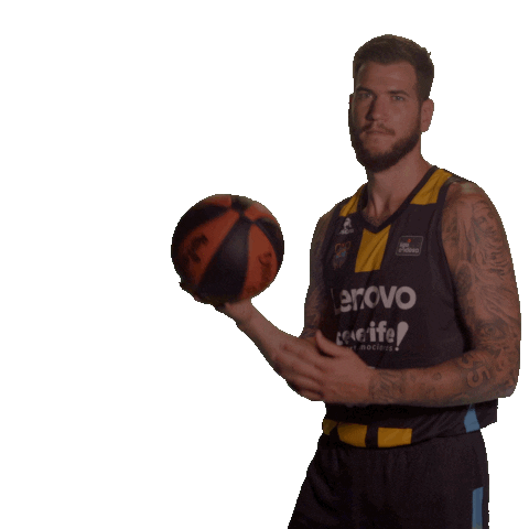 Liga Endesa Spinning Sticker by ACB