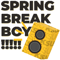 Spring Break Vacation Sticker by Kennesaw State University