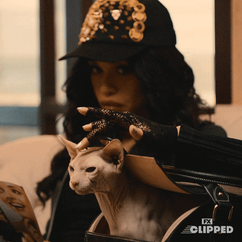 Meow Meow Cat GIF by FX Networks