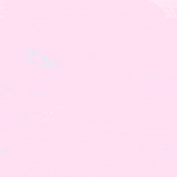 Pink Give GIF by ArmyPink
