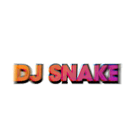 festival coachella Sticker by DJ Snake