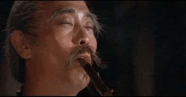 martial arts my rebellious son GIF by Shaw Brothers