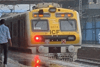 Train Emu GIF