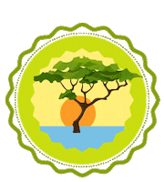 Wedding Photography Sticker by huemince