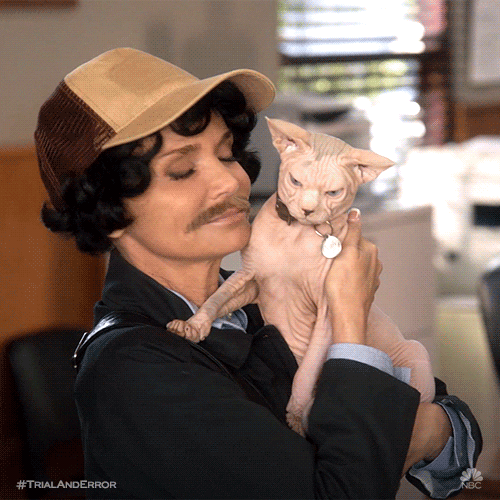 best friends cat GIF by NBC