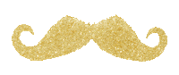 glitter pirate Sticker by HolidayPirates