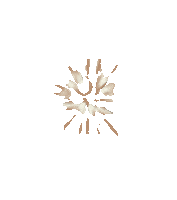 logo bones Sticker by Peter Bjorn and John