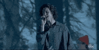 Shawn Mendes GIF by AMAs