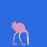 Happy Birthday Celebration GIF by bymartioska