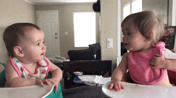 Cuteness Overload