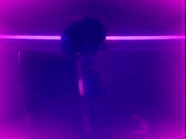 cage the elephant night running GIF by Beck
