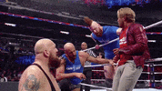 oh no what GIF by WWE