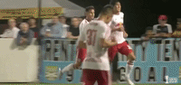 celebration GIF by NYRB II