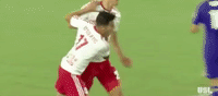 celebration GIF by NYRB II