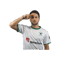 Sport Heerlen Sticker by Groene ster