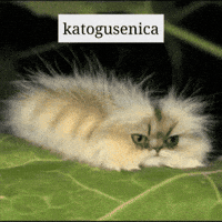 Caterpillar GIF