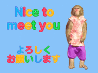 Nice To Meet You Sign Language GIF