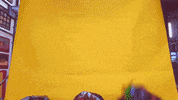 Ot Eva GIF by Operación Triunfo