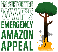 Amazon Wwf Sticker by WWF_UK