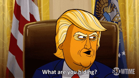 what are you hiding season 1 GIF by Our Cartoon President