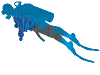 Long Island Caribbean Sticker by visitthebahamas