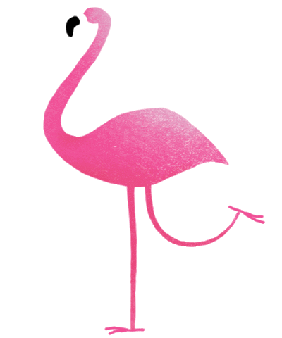 Flamingo Cwp Sticker by The 1:1 Diet