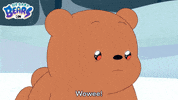 Ice Bear Wow GIF by Cartoon Network