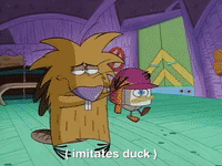 nickrewind nicksplat angry beavers GIF