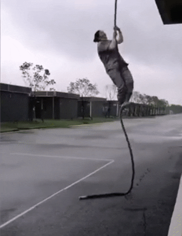 ozumbo giphyupload GIF