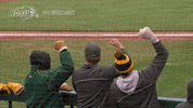 north dakota state baseball GIF by NDSU Athletics