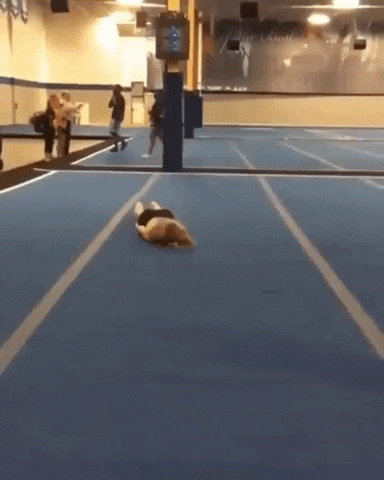 giphy.gif
