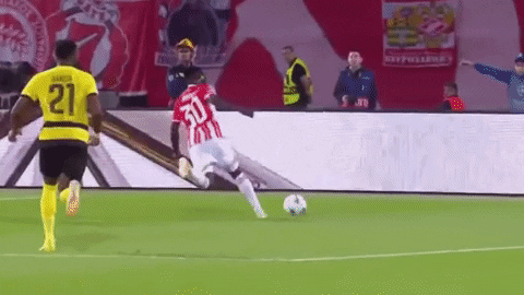 GIF by FK Crvena zvezda