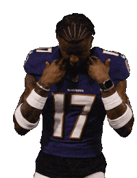 Football Nfl Sticker by Baltimore Ravens