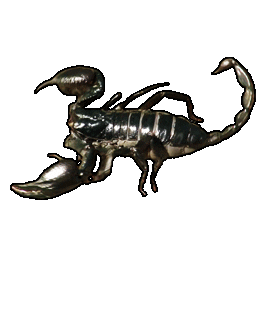 bug scorpion Sticker by mtvfearfactor