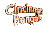 Cincinnati Bengals Football Sticker by GIPHY Text