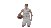 Real Madrid Basketball Sticker by ACB