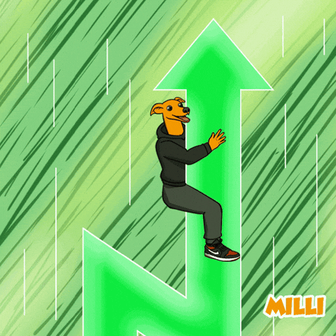 To The Moon Doge GIF by MILLI