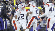 Football Nfl GIF by New England Patriots