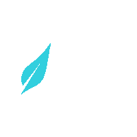 Hair Transplant Dhi Sticker by Vita Estetic