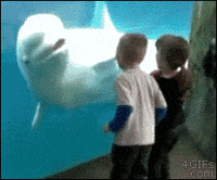 Scared Child GIF
