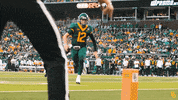 Baylor Bears Baylorfootball GIF by Baylor Athletics