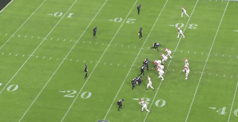 nfalato11 giphyupload GIF