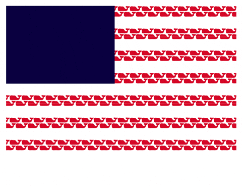 cece fourth of july vine