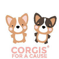 corgisforacause corgis cfac corgisforacause corgis for a cause Sticker