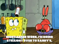 season 6 gullible pants GIF by SpongeBob SquarePants