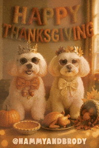 Dog Puppy GIF by HammyandBrody