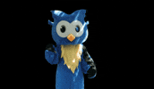 Dance Friday GIF by Middlesex Community College