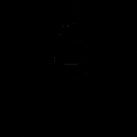 idan cohen GIF