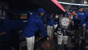 Blue Jays Baseball GIF by Toronto Blue Jays