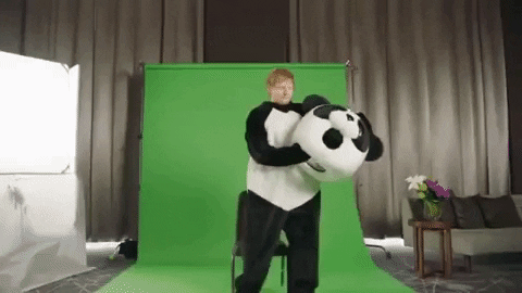justin bieber i dont care GIF by Ed Sheeran